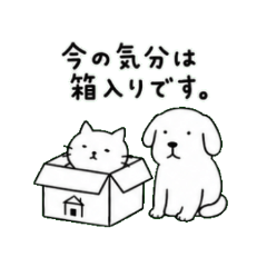 Lazy Cat and Dog Moments