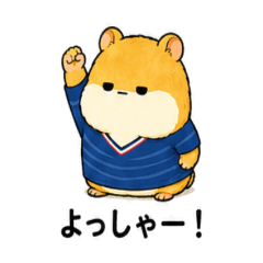 Always Useful! Salty Hamster Soccer