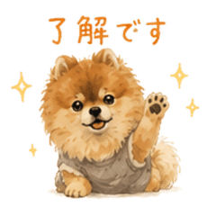 40 Everyday Pomeranian Stickers