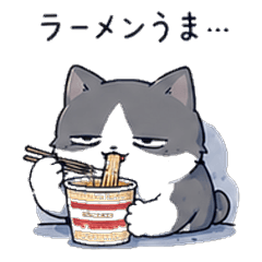 2AM Cat