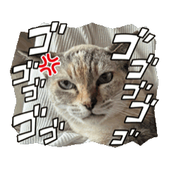 yuuuuuu_20260517004713
