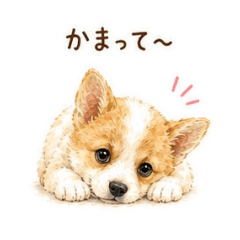 okome25_20260517014445