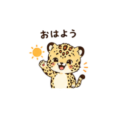 Leopard Cute Reactions