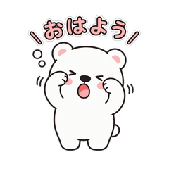 cute cat 202605ver1