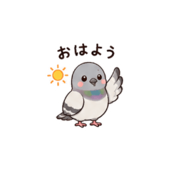 Cute Pigeon Feelings