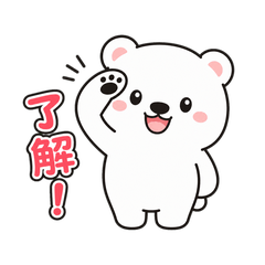 cute cat 202605ver5
