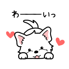 やさしいウエスティ『感情多め』
