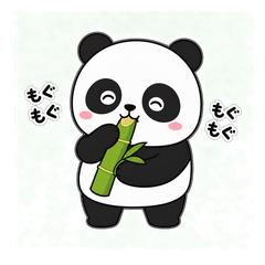 cute panda 202605ver6