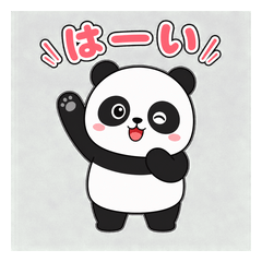 cute panda 202605ver3