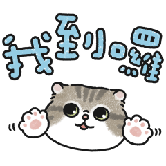Oba Cat - Bold Text Stickers