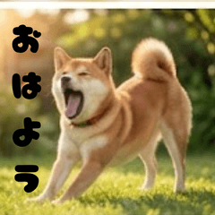 Shiba Inu stamps for everyday use2026