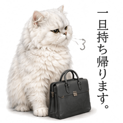 Working Persian Cat Stickers