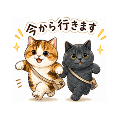Calico & British Shorthair Stickers 3