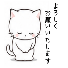 The Overly Polite White Cat