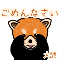 Taisei.Etc's lesser panda (2)
