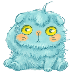 Suko, the folded-ear Scottish Fold cat.