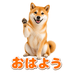 Real Shiba Inu Daily Stickers