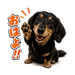 Funny Dachshund Stickers