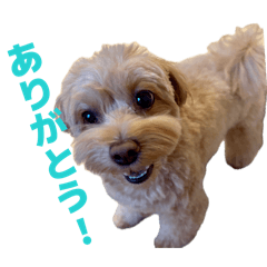 sayamaru_20260504195841