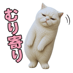 My brain is shut down, 2 a.m. cat