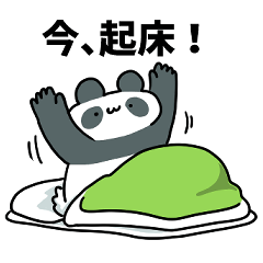 顔の平たいパンダ