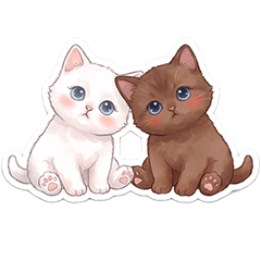 Everyday Life of Twin Cats
