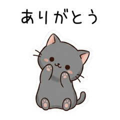 小小灰貓｜每天都能用