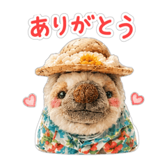 fluffy days_20260516052644