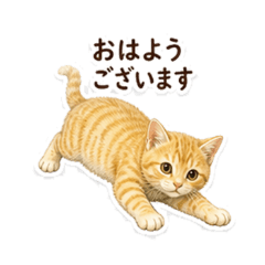 Polite Orange Tabby Kitten Greetings