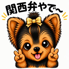 Kansai dialect Yorkie girl