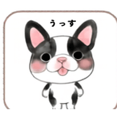 Warm & Cozy French Bulldog