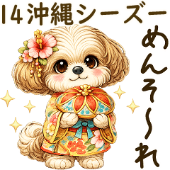3D Shih tzu 2026 (OKINAWA) 14
