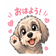 Fluffy Schnauzer Mix