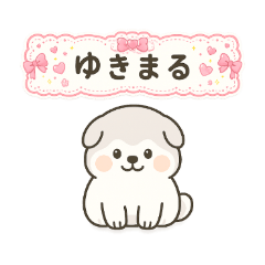 Yukidama Alaskan Malamute: Yukimaru