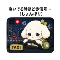 Small Thoughts of a Taxi Driver...