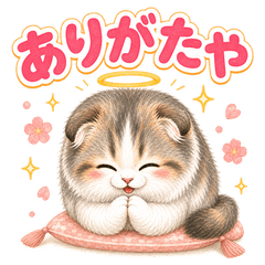 Miruku the Fluffy Cat 3