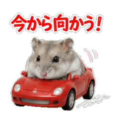 Puffy Hamster Daily Stickers