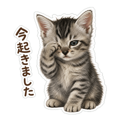 Kitten Moni's Daily Stickers Vol. 2