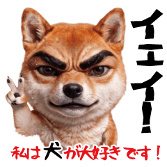 私は犬が大好きです！