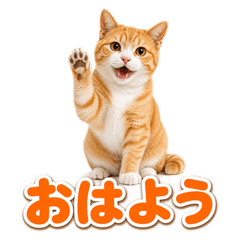 Cute Real Cat Daily Stickers