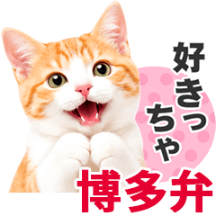 Hakata Dialect Orange & White Tabby Cat