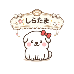 Yukidama Alaskan Malamute: Shiratama