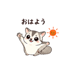 Flying Squirrel Chat Pack