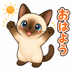 Little Siamese Kitty