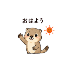 Ferret Chat Stickers