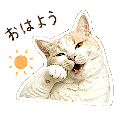 Pretty Whitecat Kitty