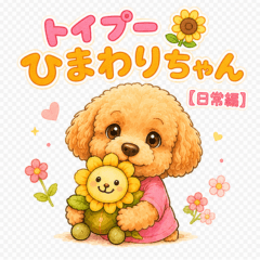 Himawari the Toy Poodle [Daily Life]