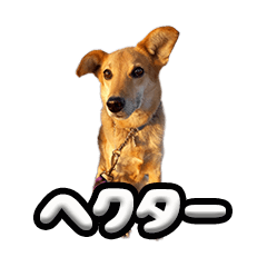 Hekuta