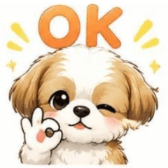 Fluffy Shih Tzu 2