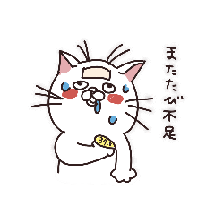 nekonndaneko cat nyanko